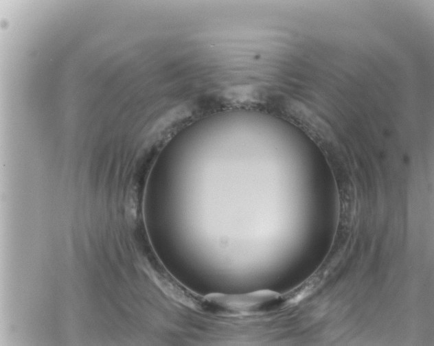 X0000066510710200603241307