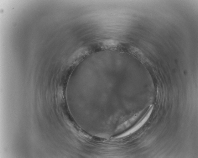 X0000066510711200603241307