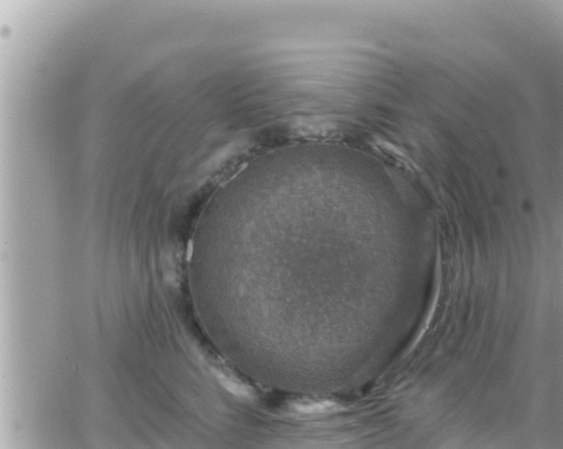 X0000066510712200603241307