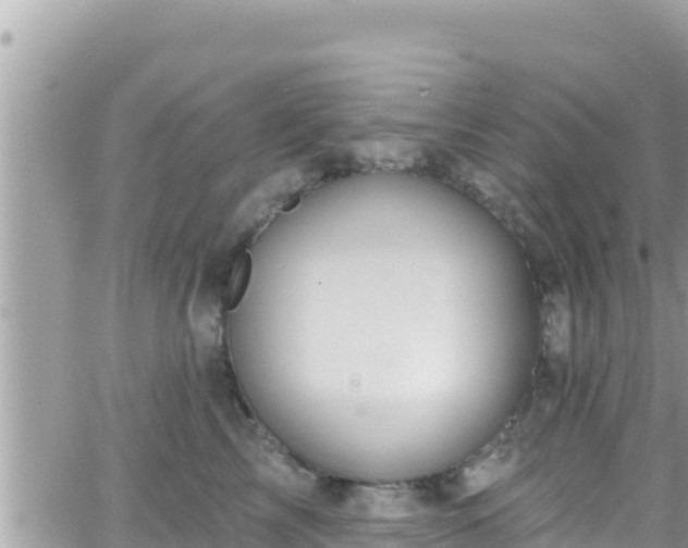 X0000066510713200603241307