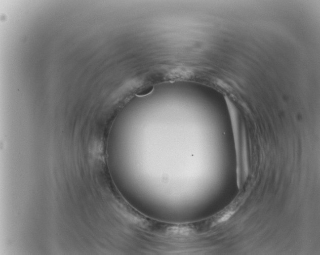 X0000066510714200603241306