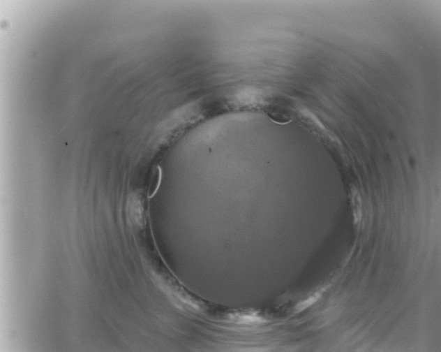 X0000066510715200603241306