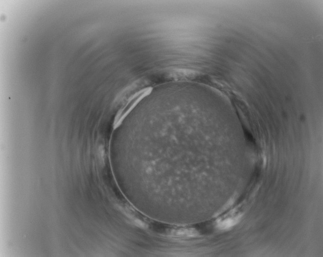 X0000066510716200603241306