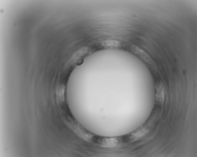 X0000066510717200603241306