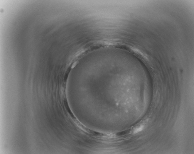 X0000066510720200603241306