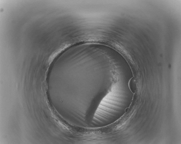 X0000066510721200603241306