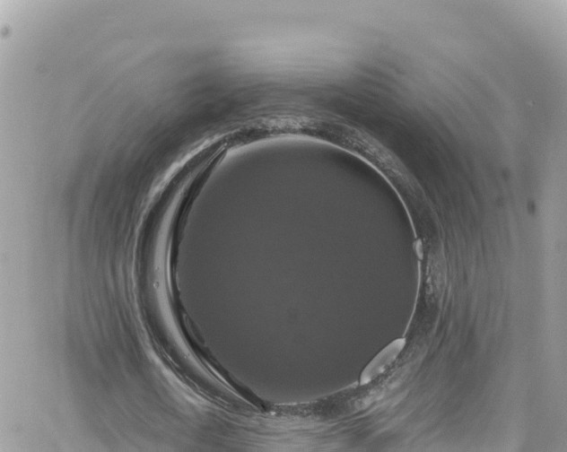 X0000066510722200603241306