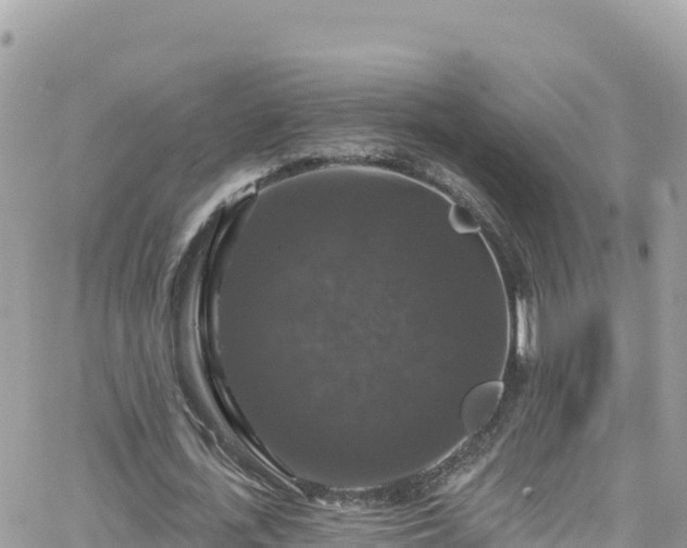 X0000066510723200603241306