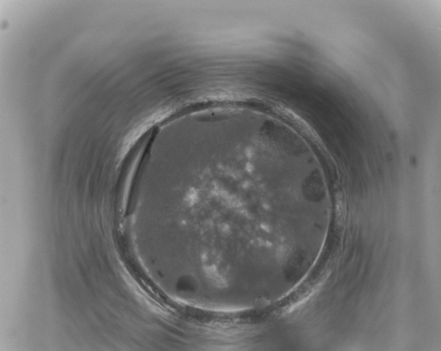 X0000066510725200603241306