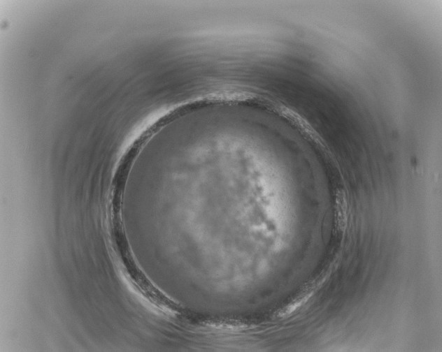 X0000066510726200603241306