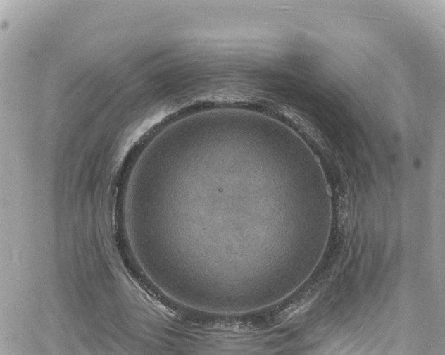 X0000066510727200603241306