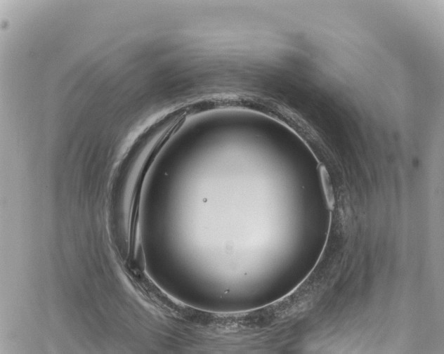 X0000066510728200603241306