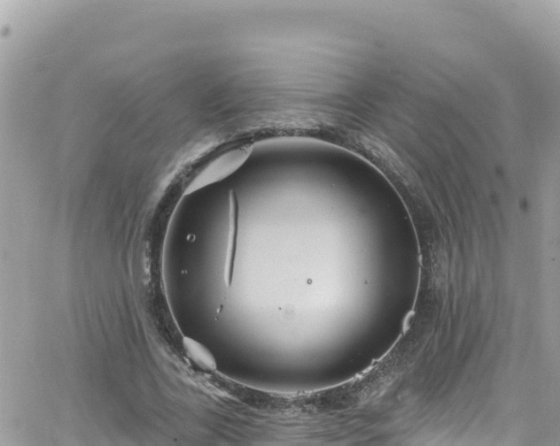 X0000066510731200603241306