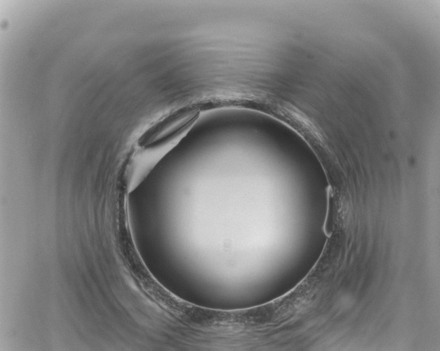 X0000066510732200603241306