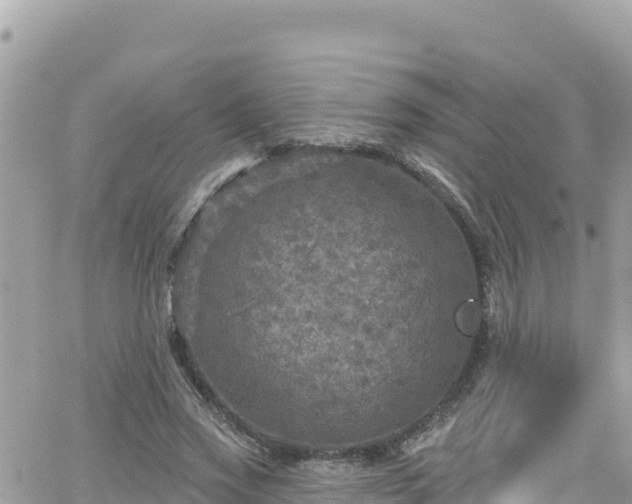 X0000066510733200603241306