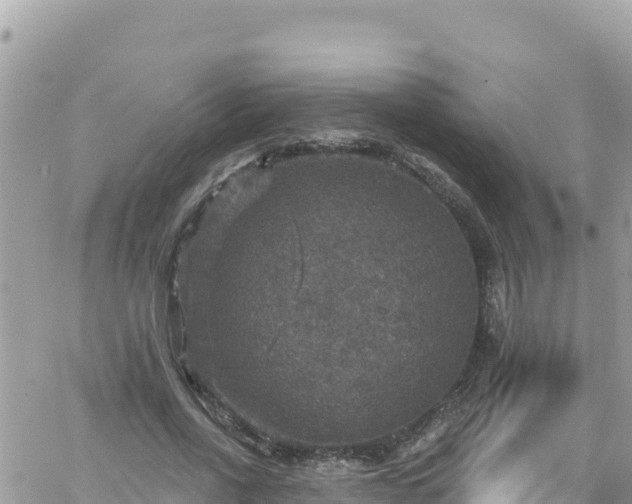 X0000066510734200603241306