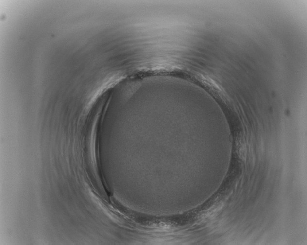 X0000066510735200603241306