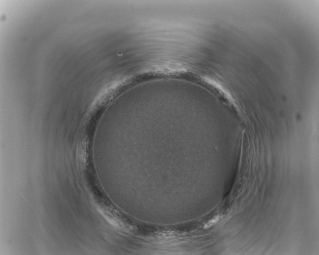 X0000066510736200603241306