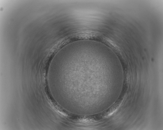 X0000066510737200603241306