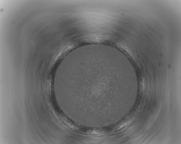 X0000066510739200603241306