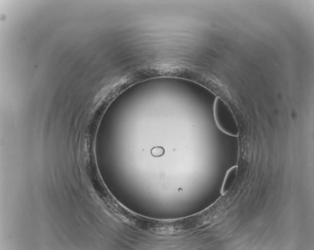 X0000066510740200603241306