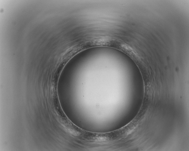 X0000066510741200603241306