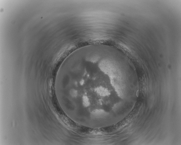 X0000066510742200603241306