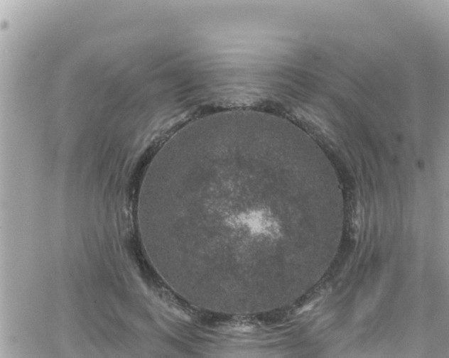 X0000066510743200603241306