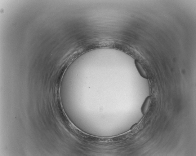 X0000066510744200603241306