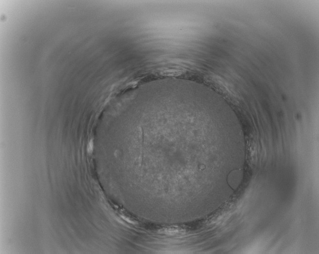 X0000066510745200603241306