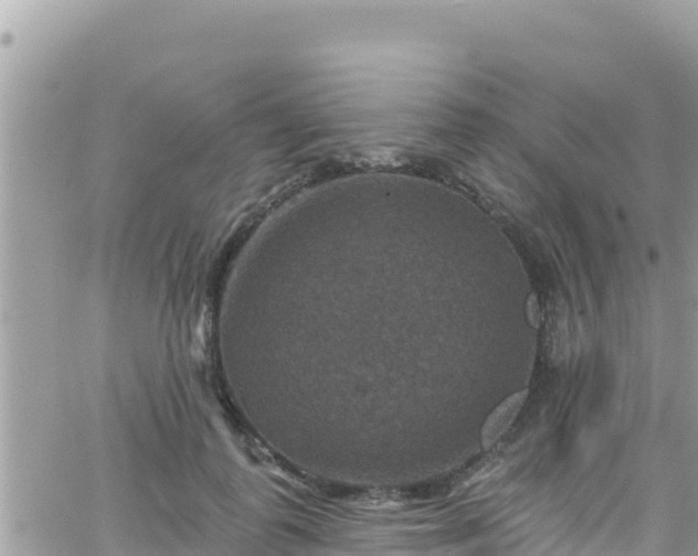 X0000066510747200603241306