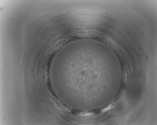 X0000066510749200603241306