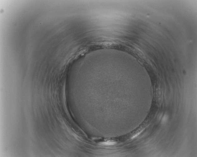 X0000066510750200603241306