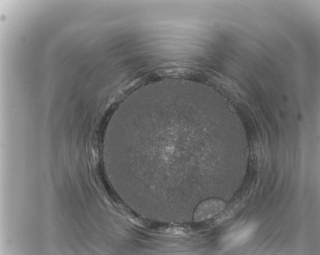 X0000066510751200603241306