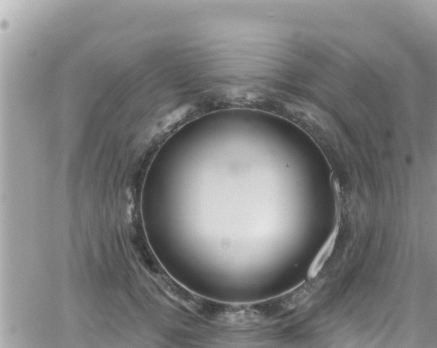 X0000066510752200603241306