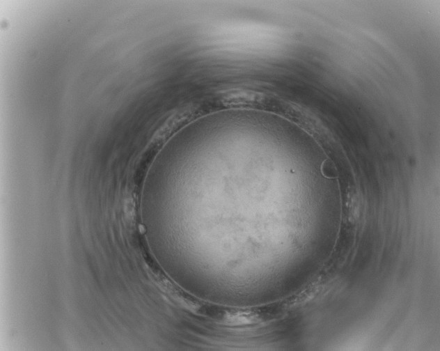 X0000066510753200603241306