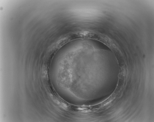 X0000066510754200603241306