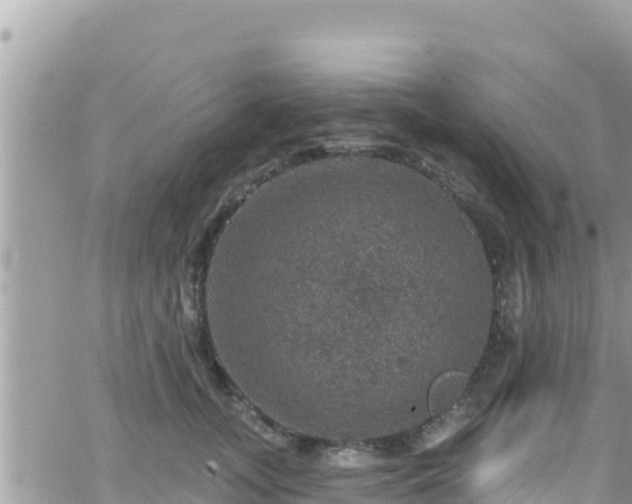 X0000066510755200603241306