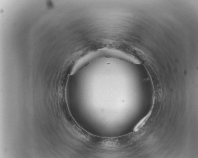 X0000066510756200603241306