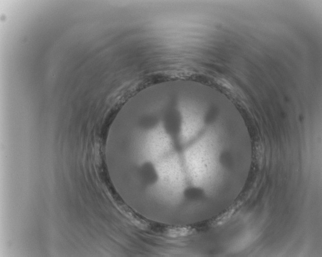 X0000066510757200603241306