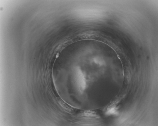 X0000066510758200603241306