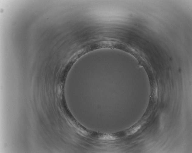 X0000066510759200603241306