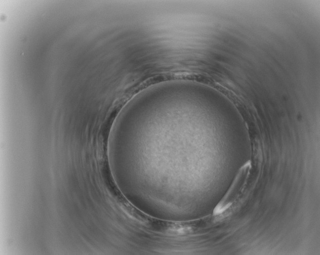 X0000066510760200603241306