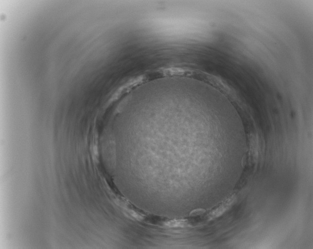 X0000066510761200603241306