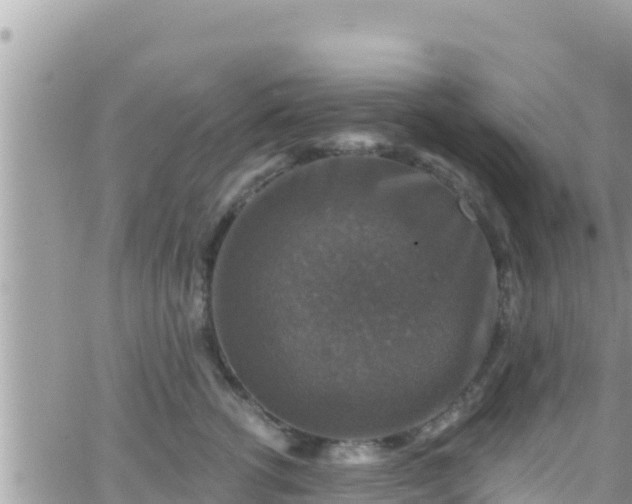 X0000066510762200603241306