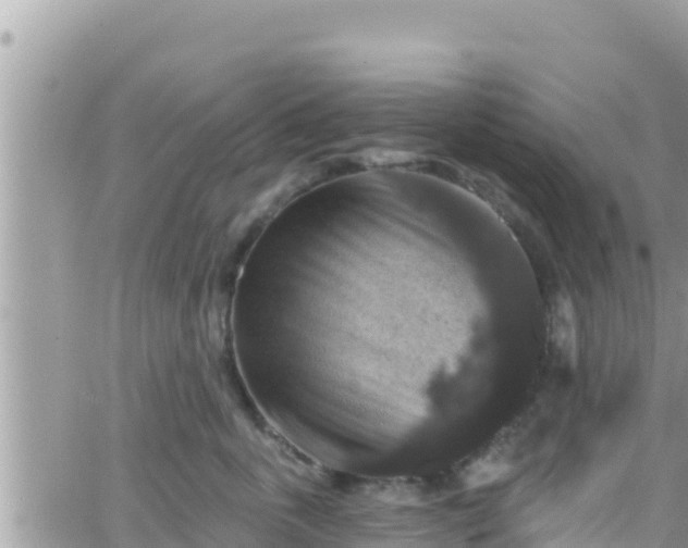 X0000066510763200603241306