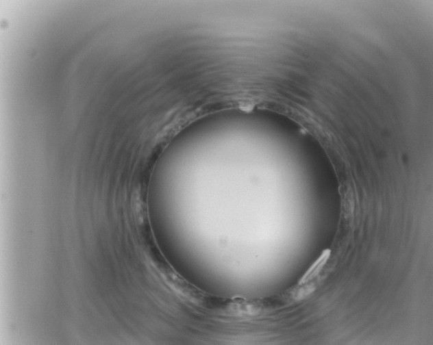 X0000066510764200603241306