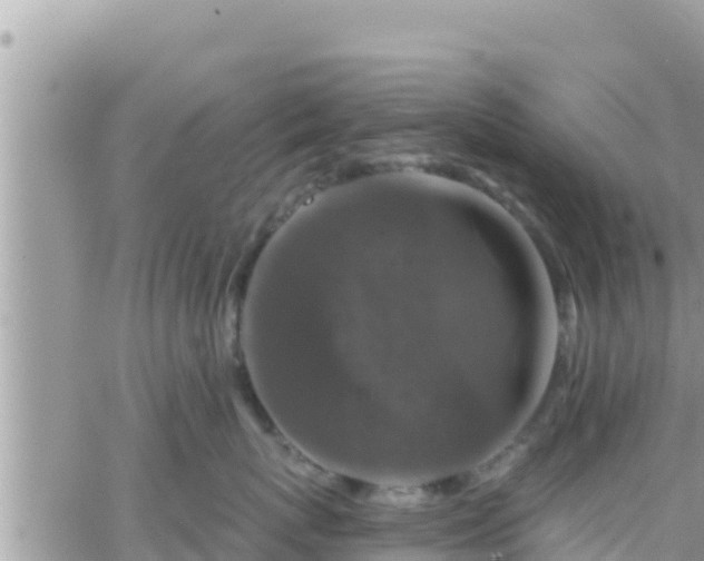 X0000066510767200603241306