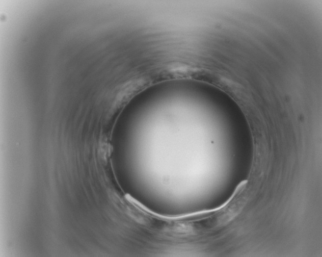 X0000066510768200603241306