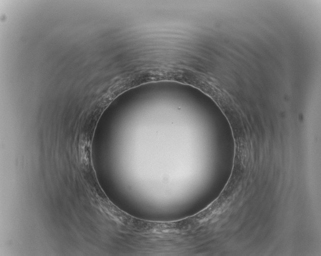 X0000066510770200603241306